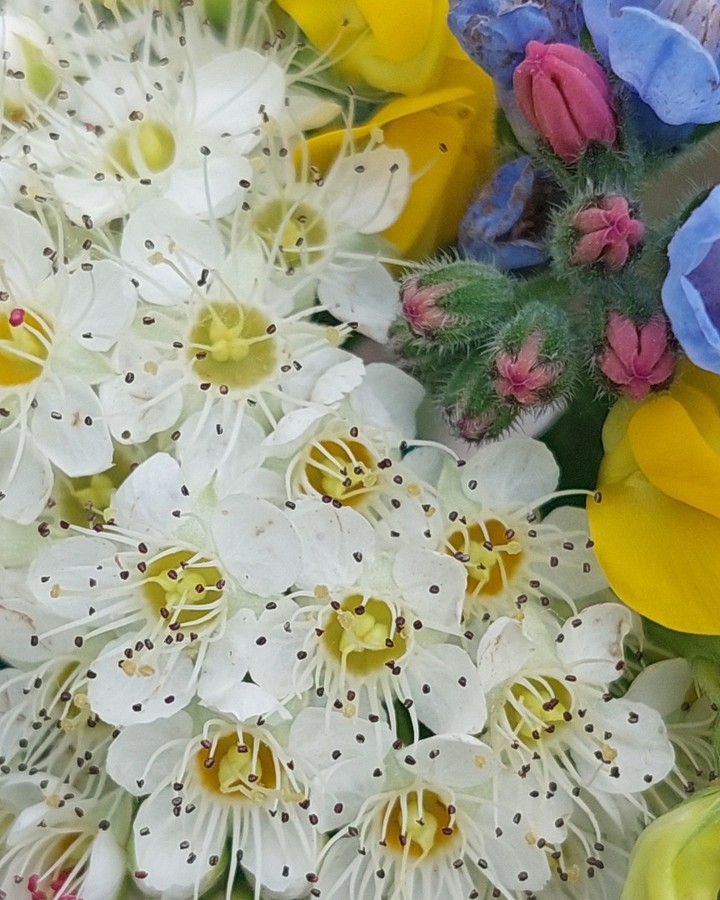 kate_mobile7 в LOOKY — 😇🍀