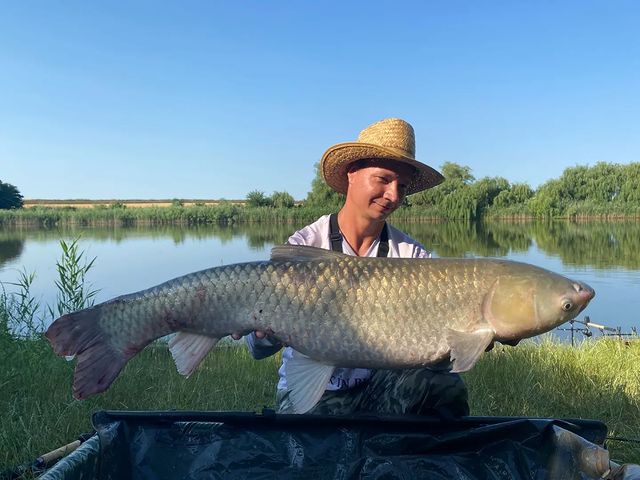 yug_fishing в LOOKY. #рыбалка,#флэтфидер,#Краснодар,#Кубань,#природа,#отдых,#карпфишинг. Погонял амура на флэ...
