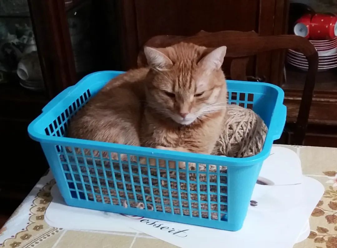 masterkukolnik в LOOKY — Шерстяной клубочек