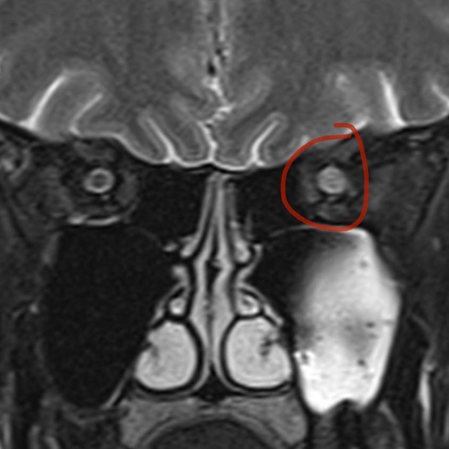 russianradiology в LOOKY — фото 3