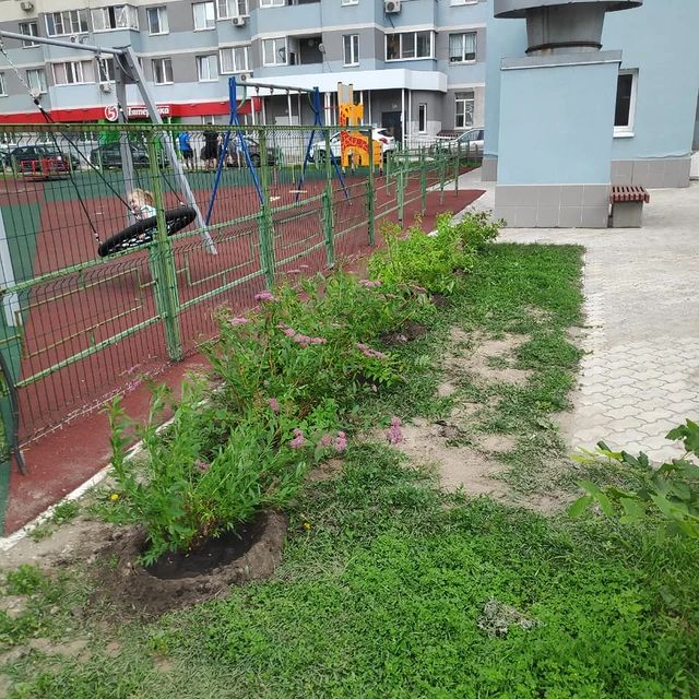 lh_des в LOOKY. #ландшафты,#самара,#посадки,#растения. Высадили декоративны...