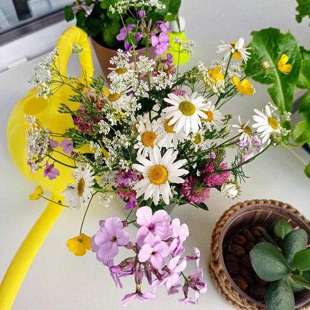 dariakaberne в LOOKY. . null