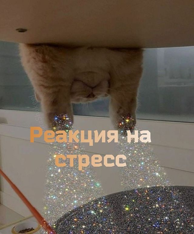 eduard_ilyin_coach в LOOKY. . ✔️ПСИХОТЕХНИКИ И РЕА...