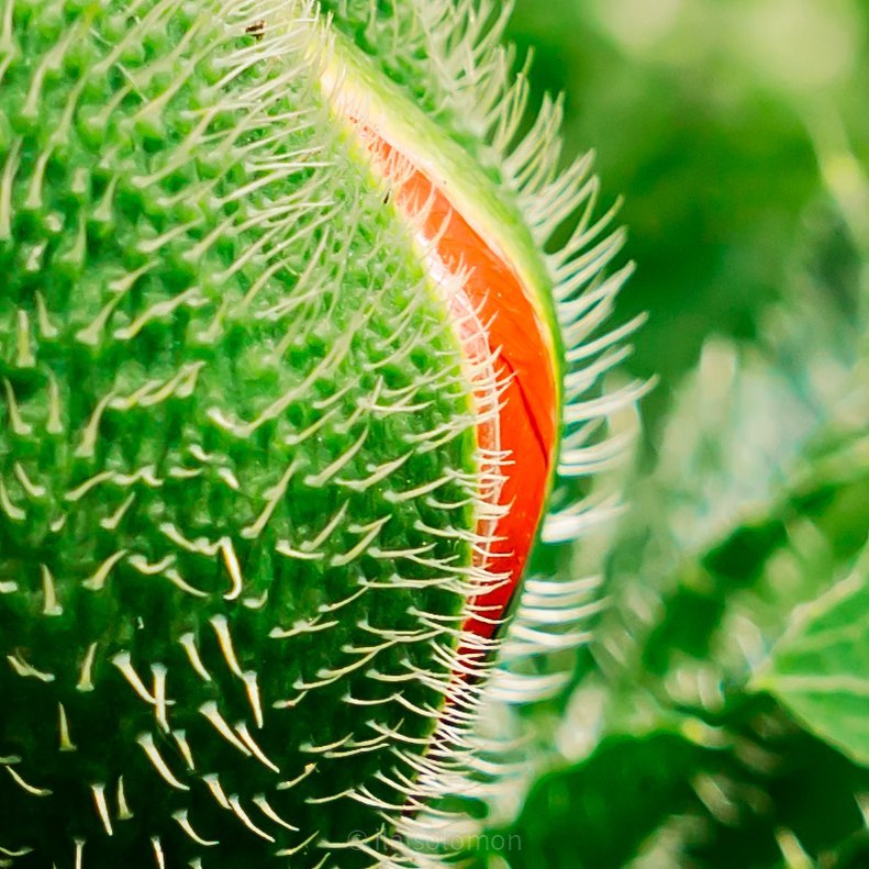 ilaisolomon в LOOKY — фото 3