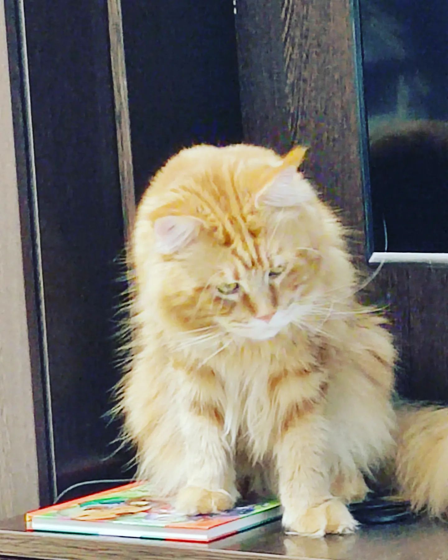 natalya_alekseevnad в LOOKY. . 🤣🤣для тех кто не з...