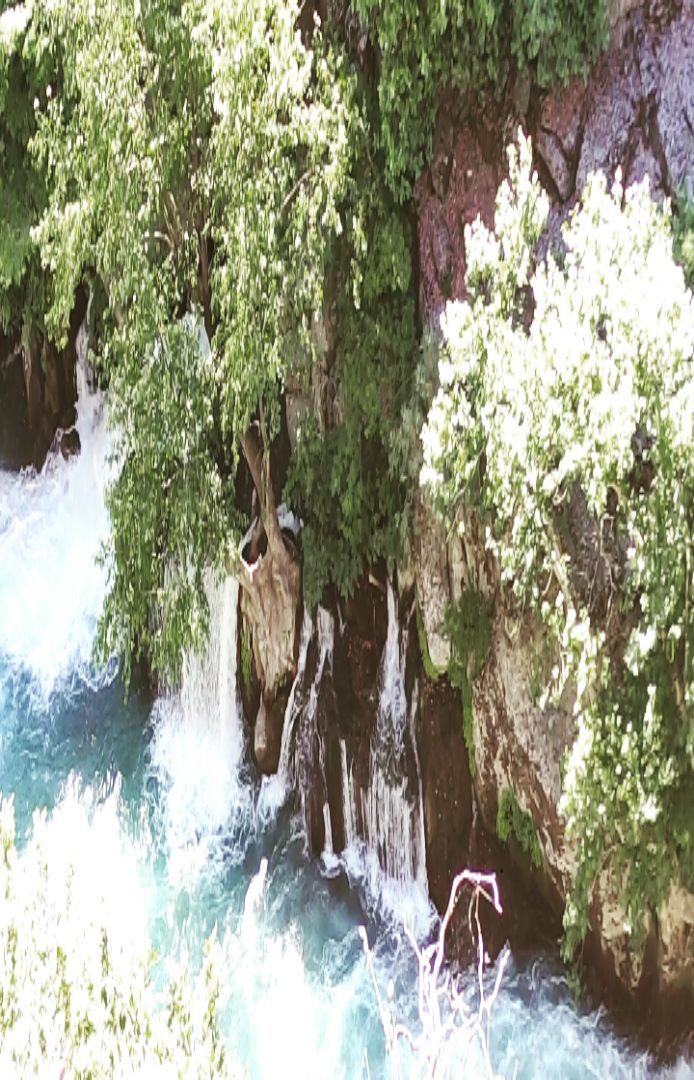 kann_rom в LOOKY. . null