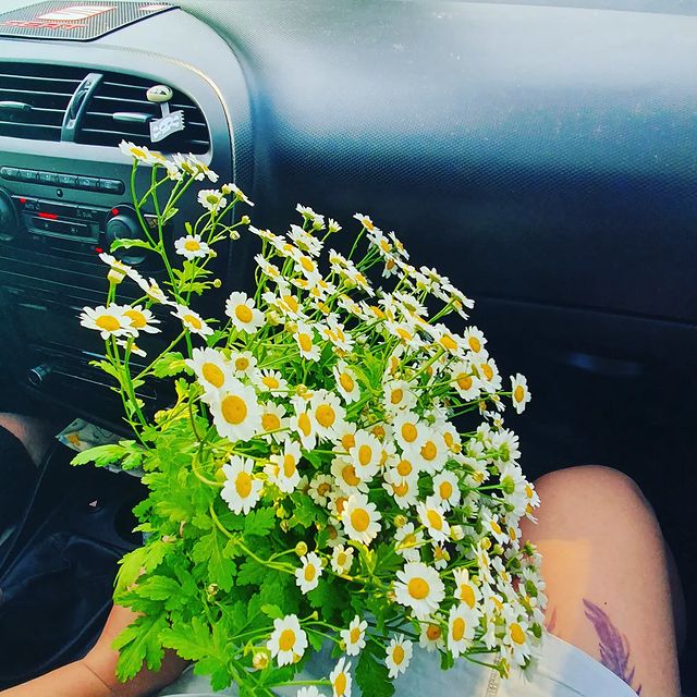 ulyashka_koltsova в LOOKY. . КрАсОтА😍🥰🥰