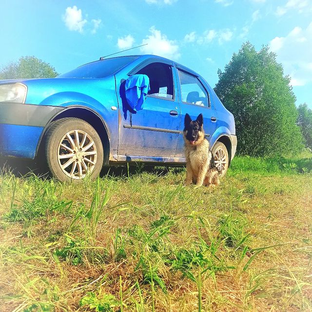 katerinka_208 в LOOKY. . null