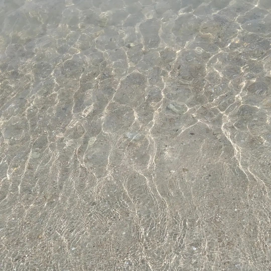 sandyfox07