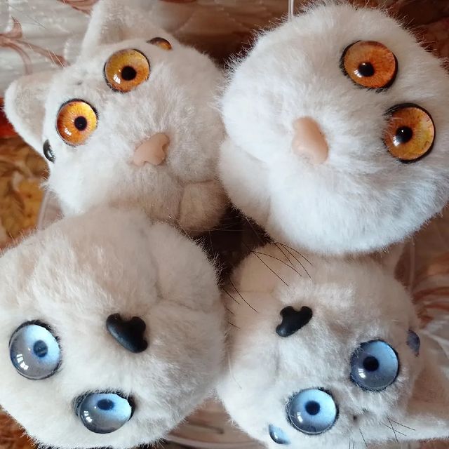 atola.name в LOOKY. #кот,#паук,#котопаук,#паукот,#игрушкисвоимируками,#игрушкавподарок,#натюр,#реалистичнаяигрушка,#spider,#cat,#mew_gallery,#antitaxidermy. На подходе букетик н...
