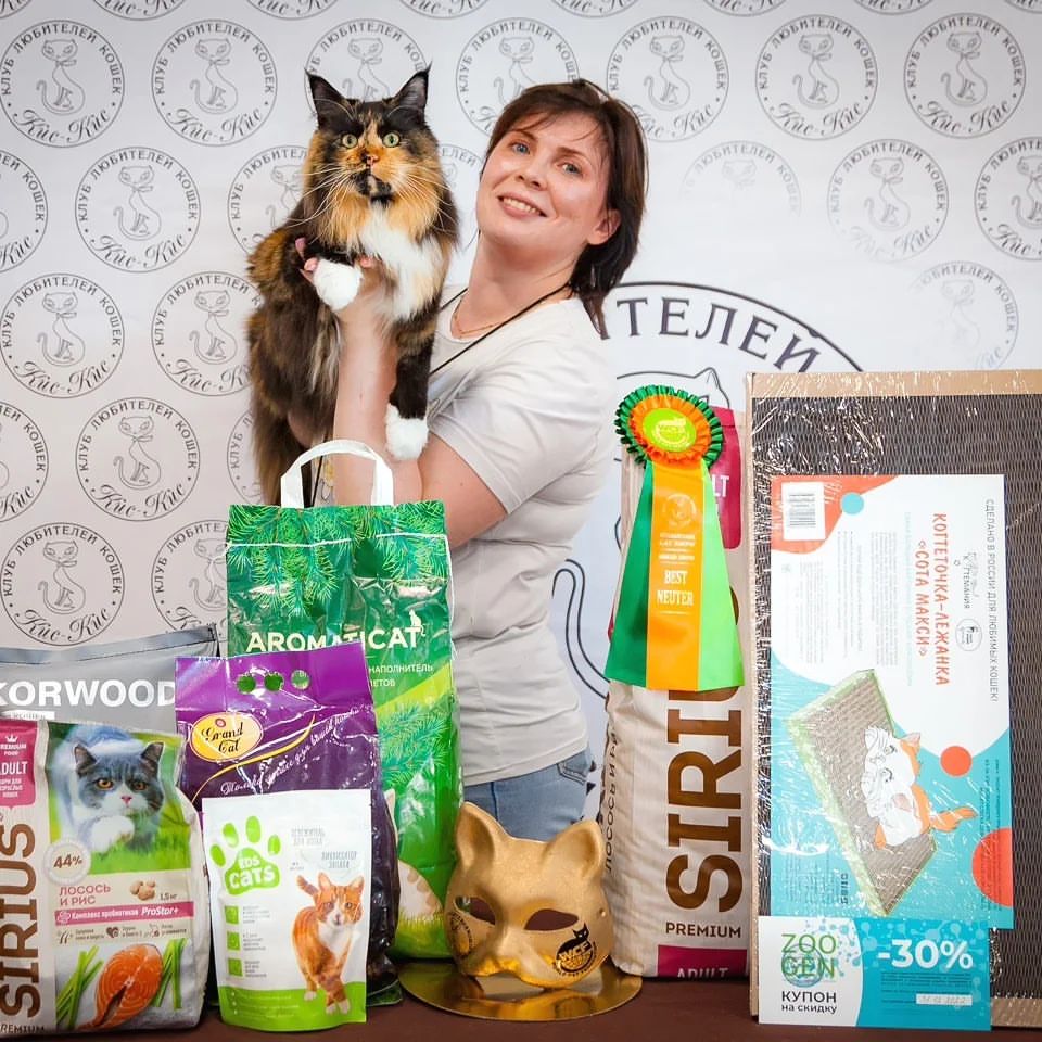 mycatgrooming in LOOKY. #кошачийгрумер,#грумингкошек,#грумингкошекмосква,#грумеркошекмосква,#грумерходякова,#МоёКошачьеДело,#уходзашерстьюкошек,#красивыекошки,#ухоженныекошки,#выставкакошекмосква. Я никуда не пропала,...