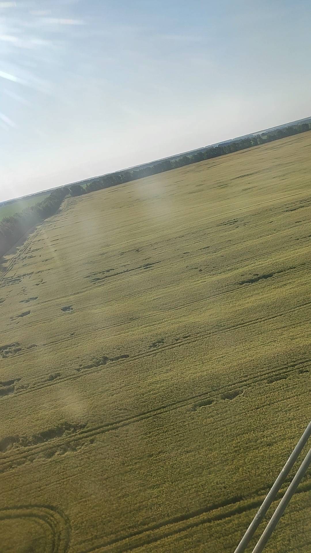 kozhukhova.ira15 в LOOKY. . Спасибо за незабывае...