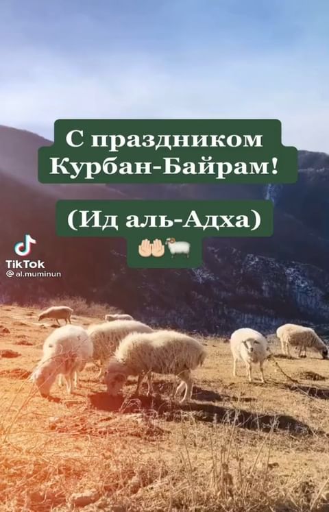 _fatima_musaeva_05 в LOOKY. . С праздником Курбан ...
