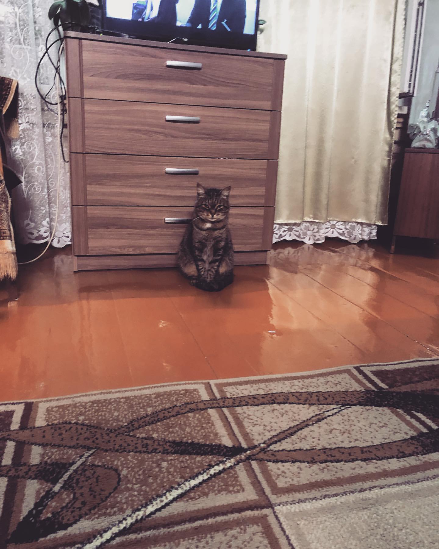 aljonaorlova в LOOKY. . Когда тебе привезли ...