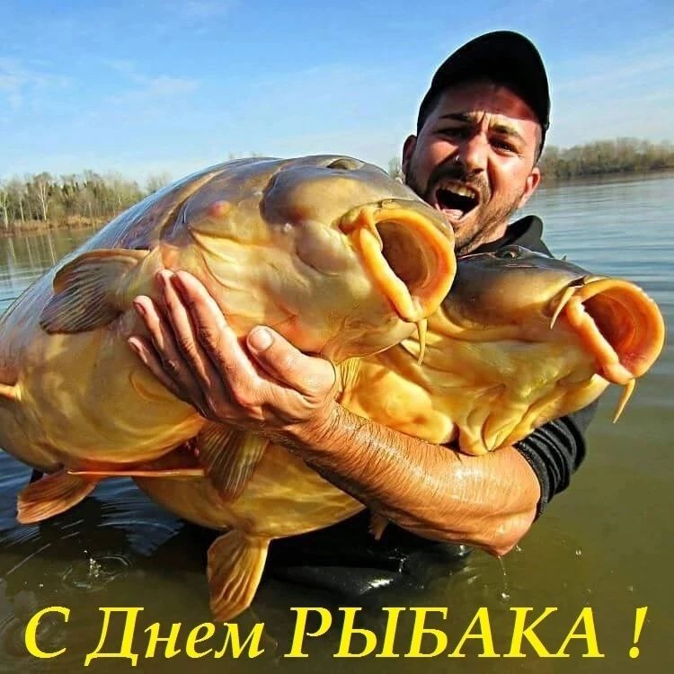 dream_fishing_kot_kitty in LOOKY