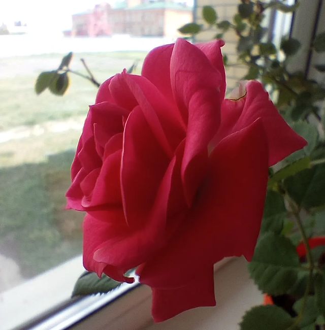 a.maksidim в LOOKY. . null