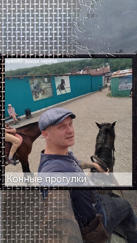 aleshin.kot в LOOKY. #щитовая,#владивосток,#конныепрогулки,#кони,#выходные,#лошади,#море,#лето,#отпуск. Провели выходные с л...