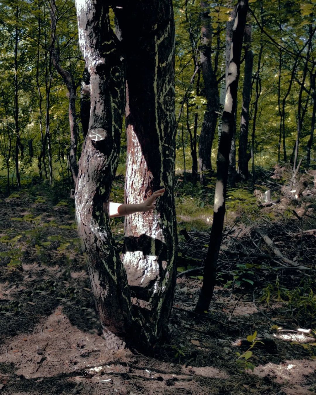 zlay.lici4ka в LOOKY — фото 5
