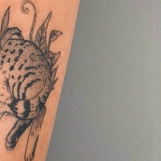 dzollii_tattooer в LOOKY — фото 3