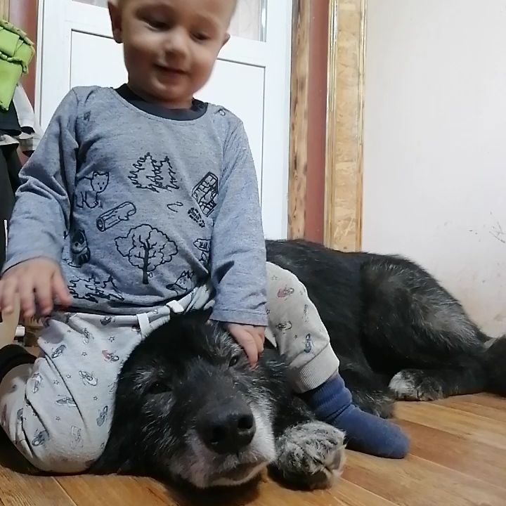 elena.straystar в LOOKY. . Это настоящий канадс...