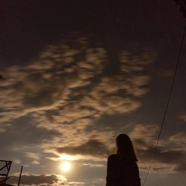 pinksunset_26 в LOOKY. . 💔