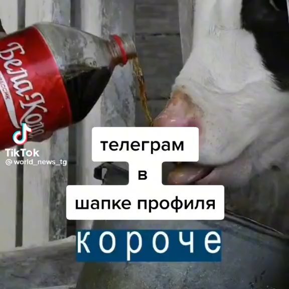 natallia_171411 в LOOKY. . Просто нет слов.😁😁...