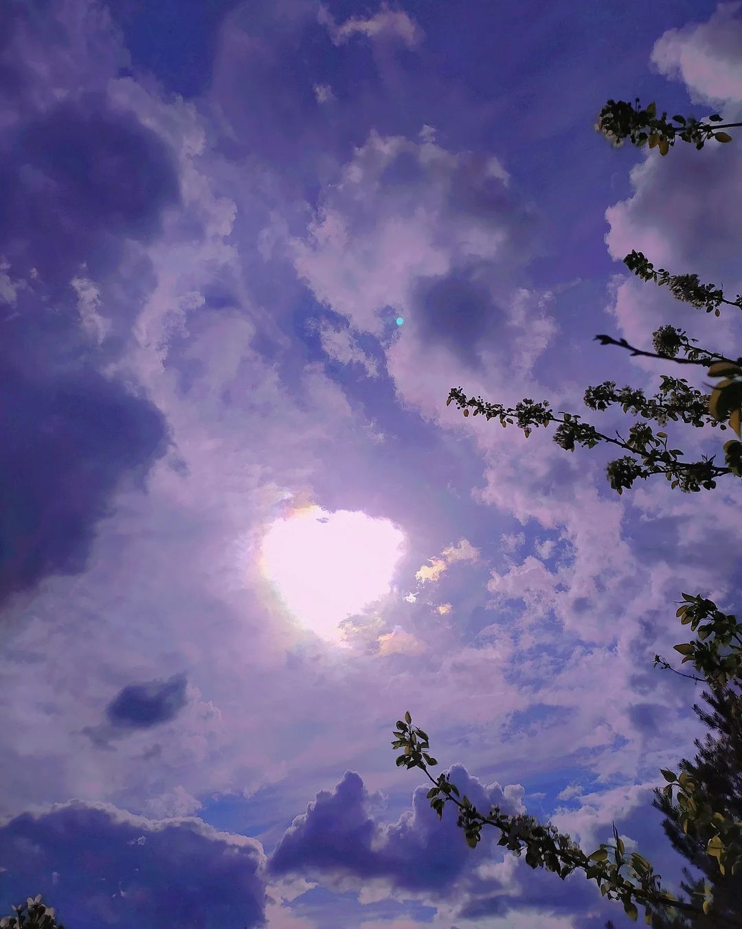 li_m_elina в LOOKY — фото 2