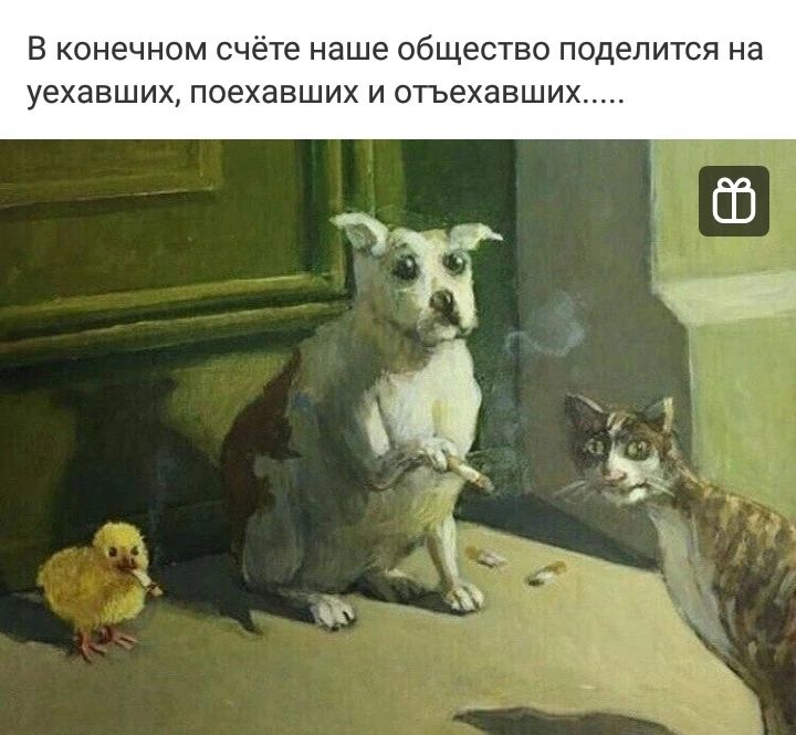 sv_et_lana17 в LOOKY. . 👍👍👍👍👍👍👍👍👌