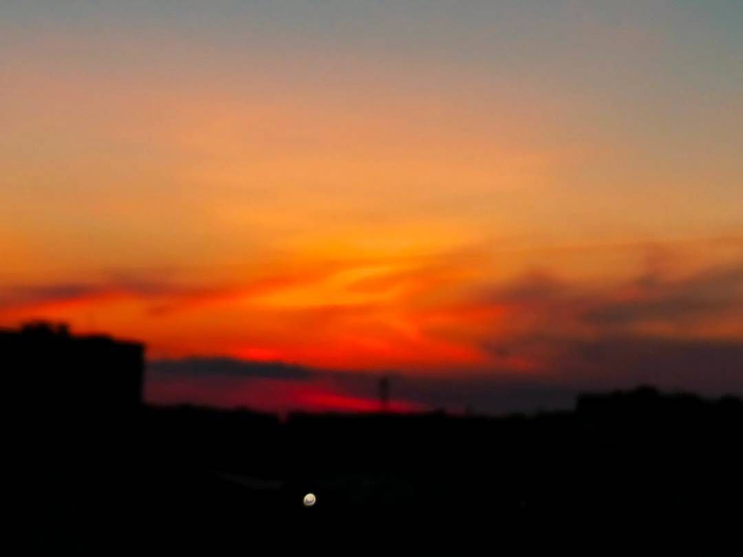 varvara_berry в LOOKY. . null