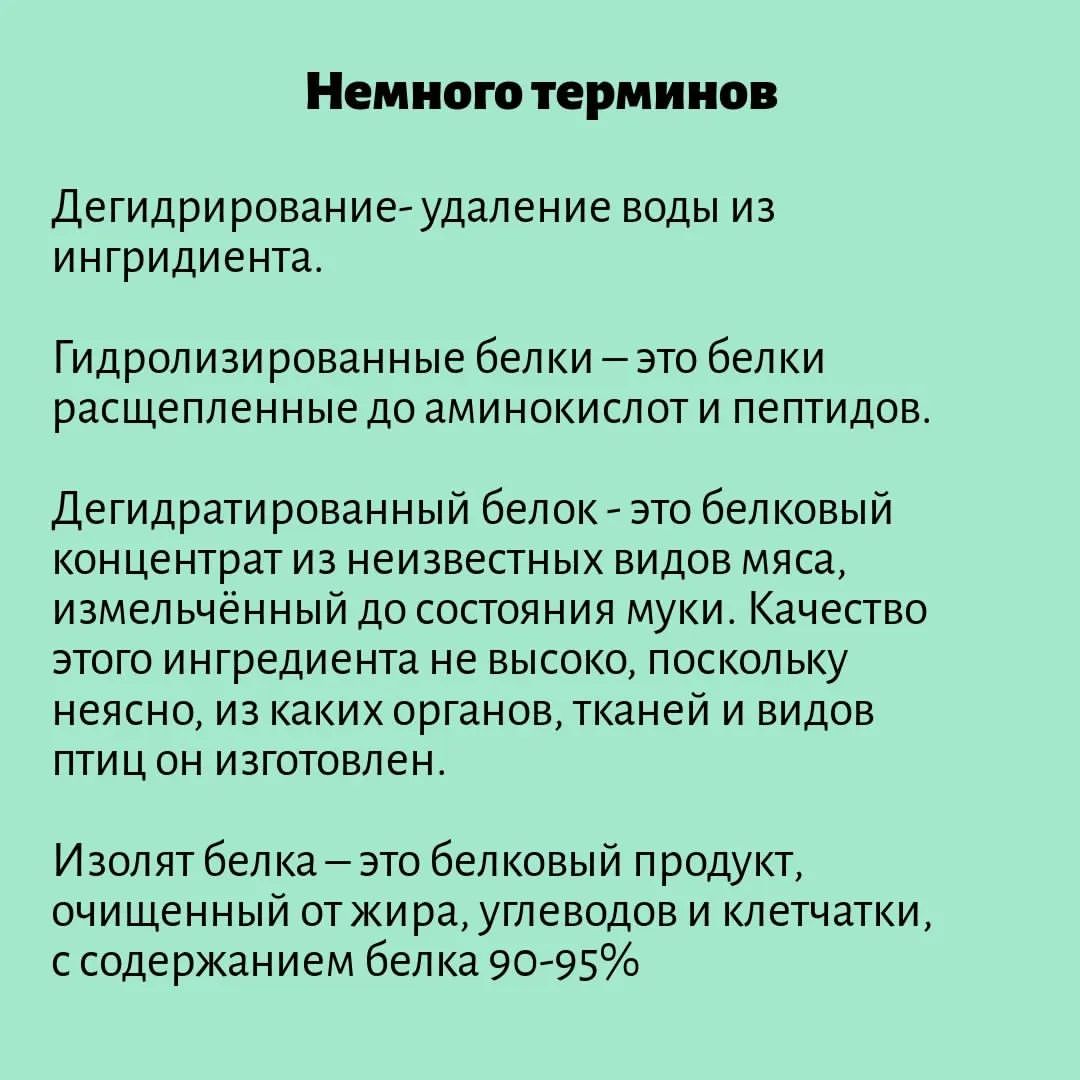 kinolog_nsk в LOOKY — фото 10
