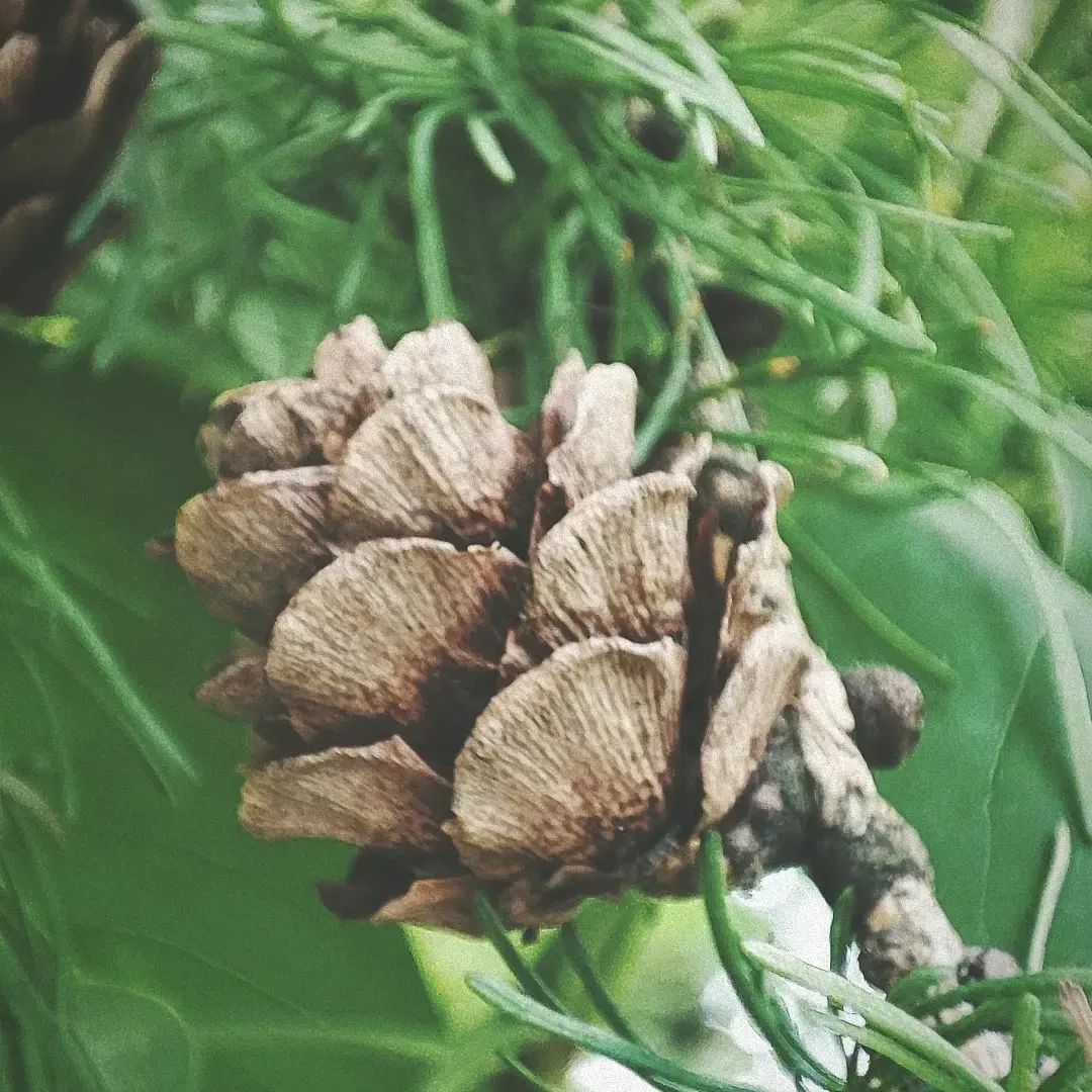 puhovaksenia в LOOKY — фото 4
