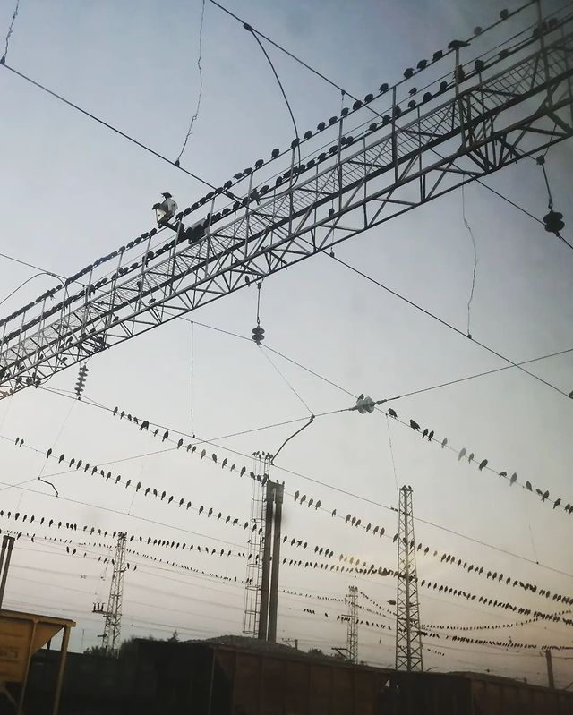 miki_goto_ в LOOKY. . null