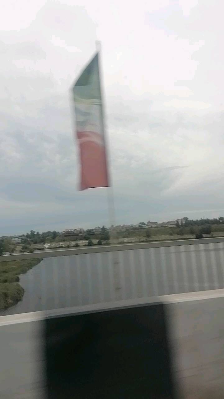 guzel_almeeva в LOOKY. . null