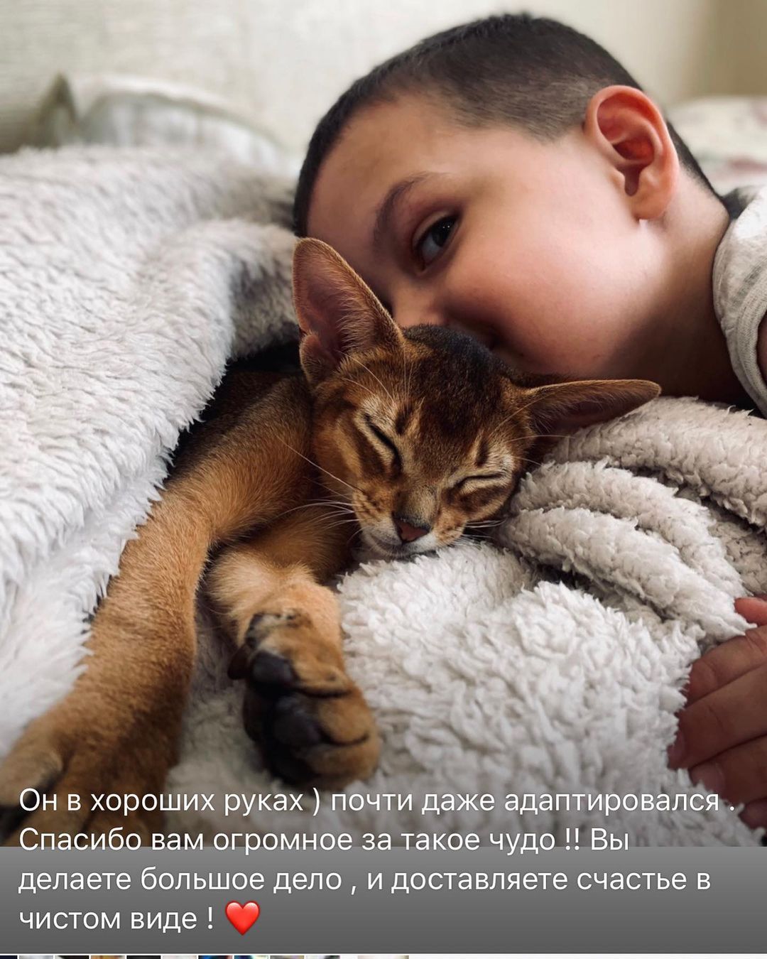 irinacats999 в LOOKY — Спасибо нашим новым владельцам за обратную связь🥰Необыкнове