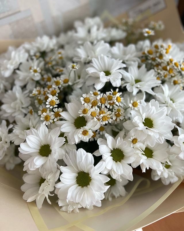 wunderbar27 в LOOKY. . Ещё один год пролете...