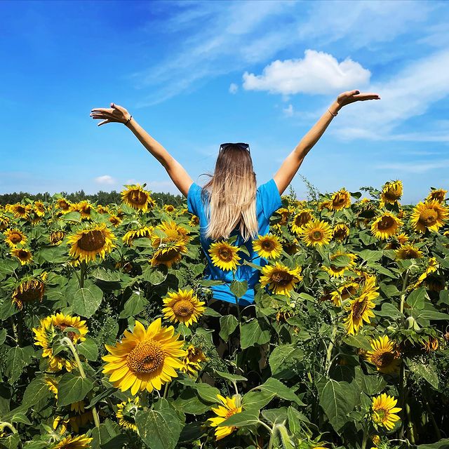 sashkovna508 в LOOKY. . 🌻