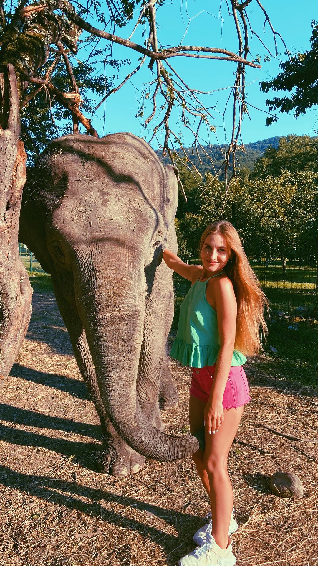 margarita___24 в LOOKY. . Слоны 🐘 на расстоян...
