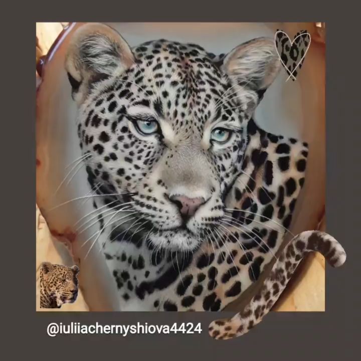 olivan4ik в LOOKY. . 😻🐾@iuliiachernyshi...