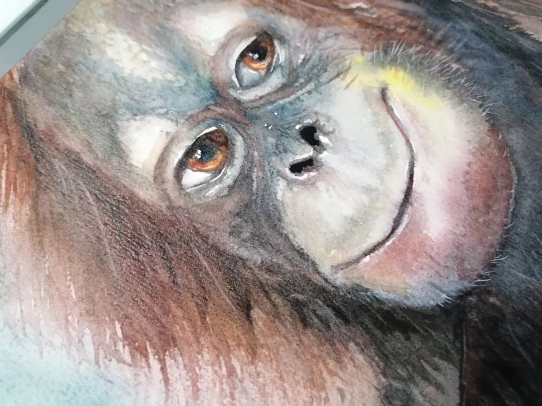 sashka_cheburashka_art в LOOKY — фото 2