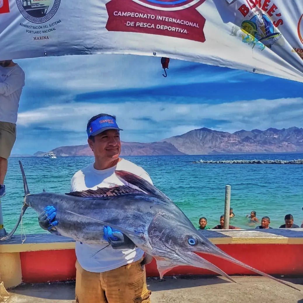 rogecan0 в LOOKY — #sportfishing #bajacalifornia #bahiadelosangeles