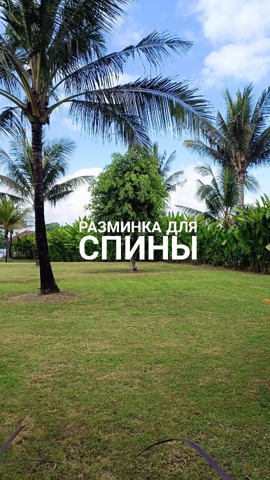 internetforis в LOOKY. #укреплениеспины,#упражнения,#тренировкадома. Простые упражнения к...