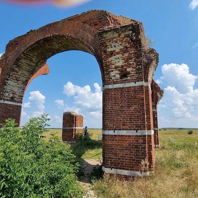lain_cox в LOOKY. . null