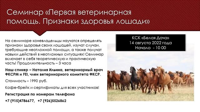 kare_neya в LOOKY. #ветеринар,#лошади,#ветпомощь,#семинар,#перваяпомощьлошади,#перваяпомощь,#ветеринария,#конныйспорт,#коневодство,#коневладелец,#конник,#жеребята,#кобыла,#мерин,#жеребец,#копыта,#сбруя,#упряжь,#медицина. Моя подруга @russia_...