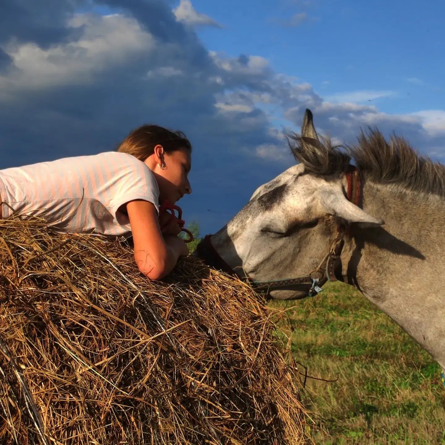 elizabeth_isk в LOOKY. #equestrian,#horse,#fotografia. Независимо от того, ...