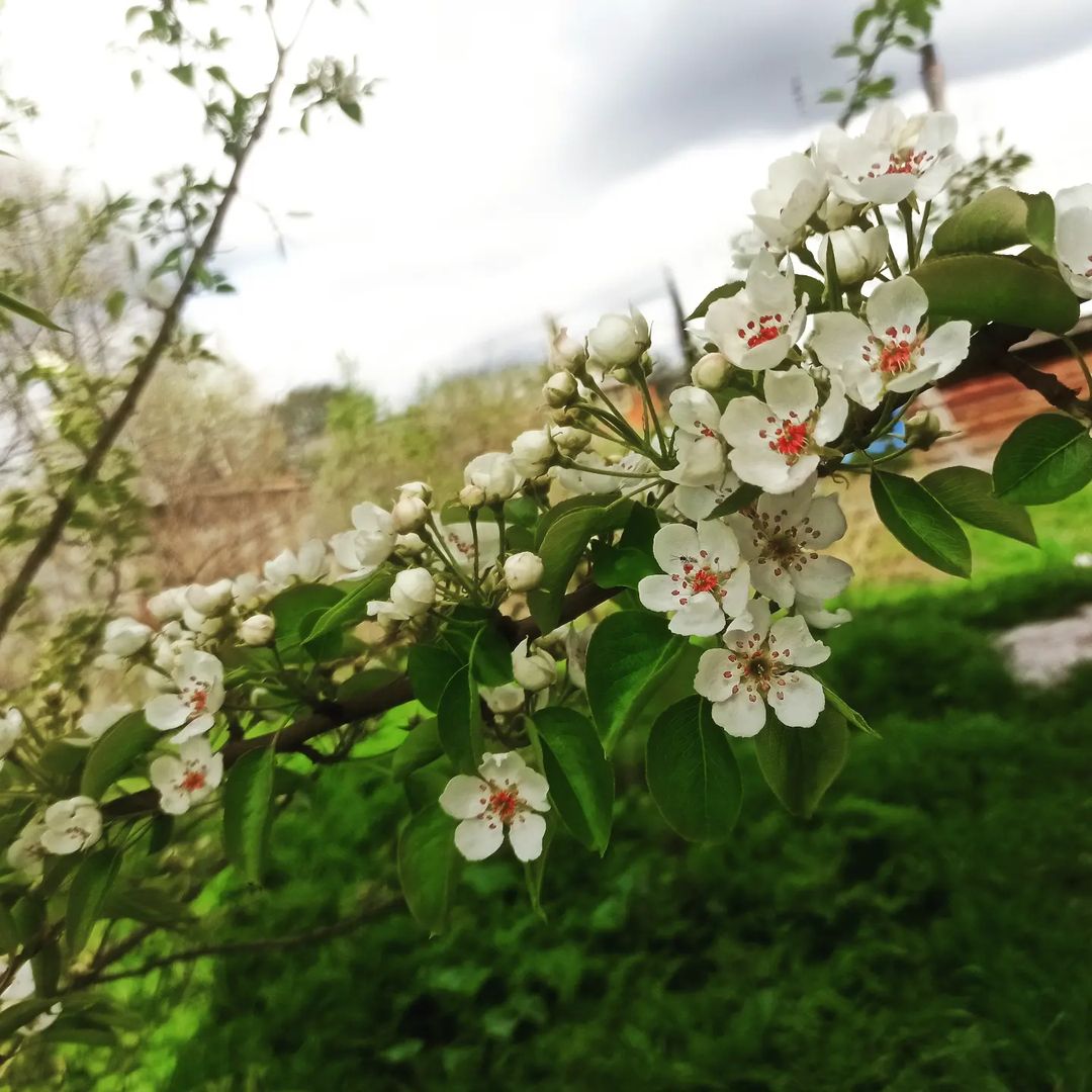 kosmetika_manturovo в LOOKY — публикация