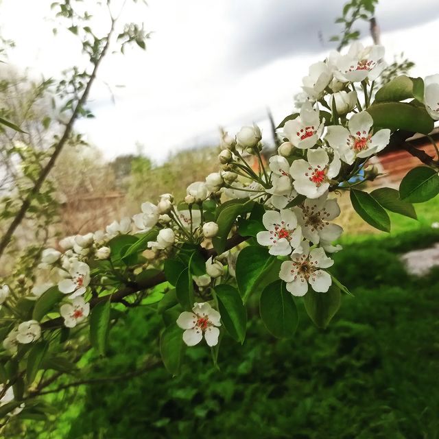 kosmetika_manturovo в LOOKY. . null