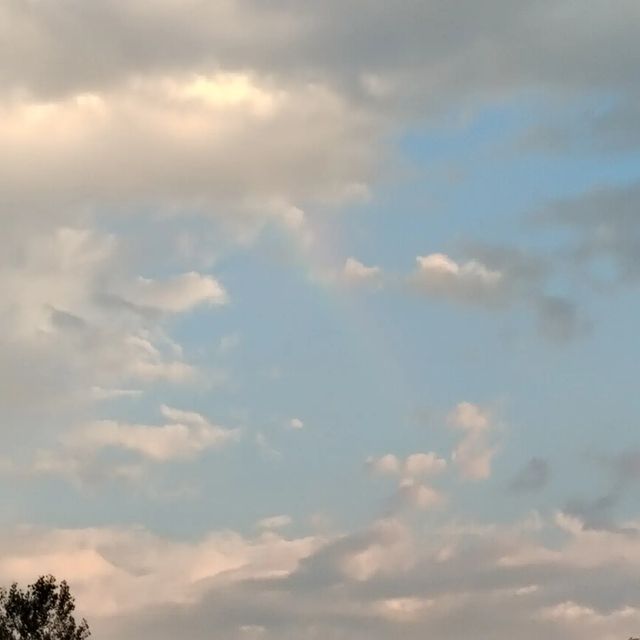 lenaaskaron в LOOKY. . null