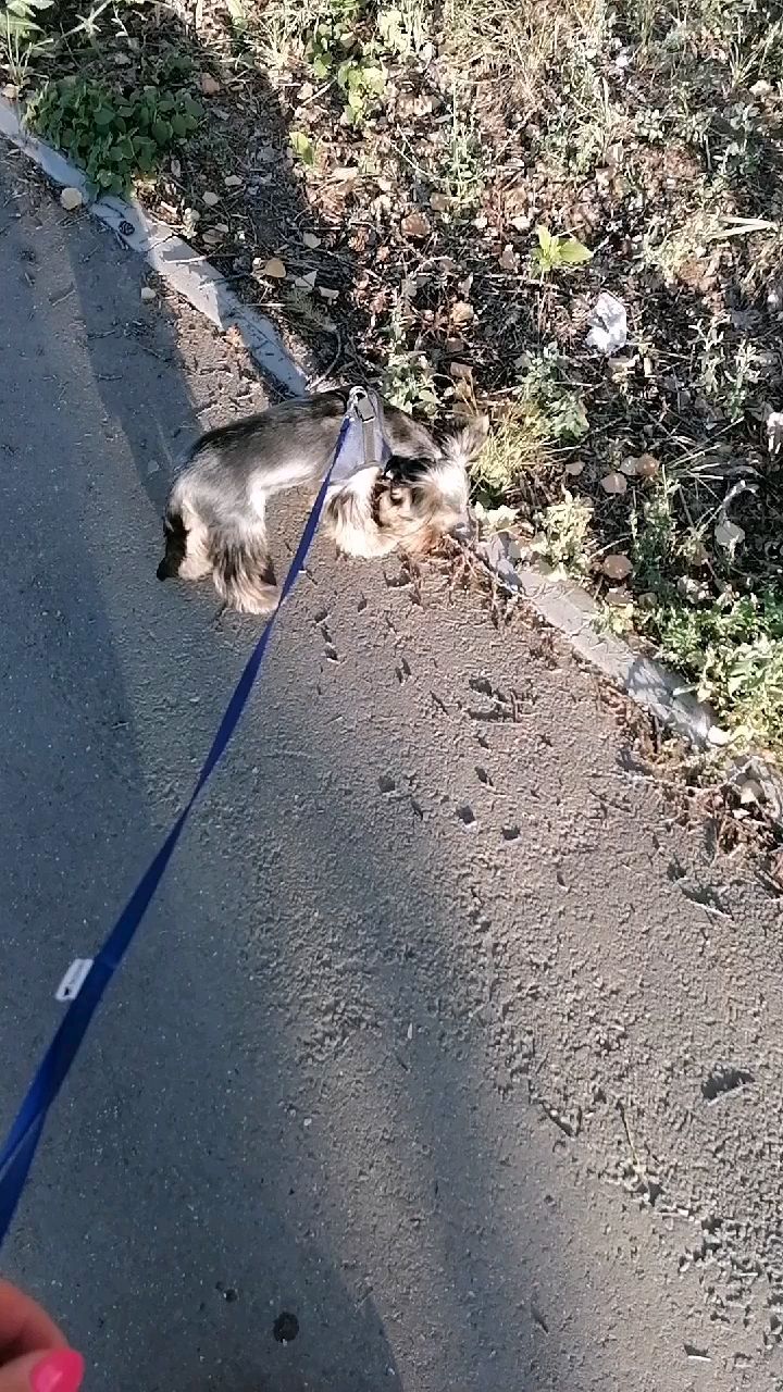 tatyshkaa в LOOKY. . Озвучка прям под нас...