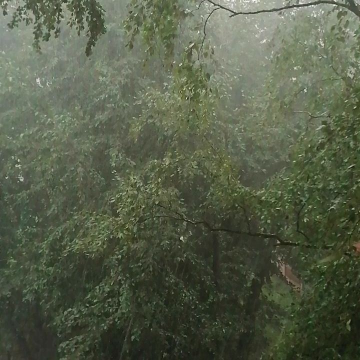 ollya_lya_lya_ в LOOKY. #amazing,#follow,#ВПетербургесновадожди☔☔☔. #amazing
#follow
#ВП...