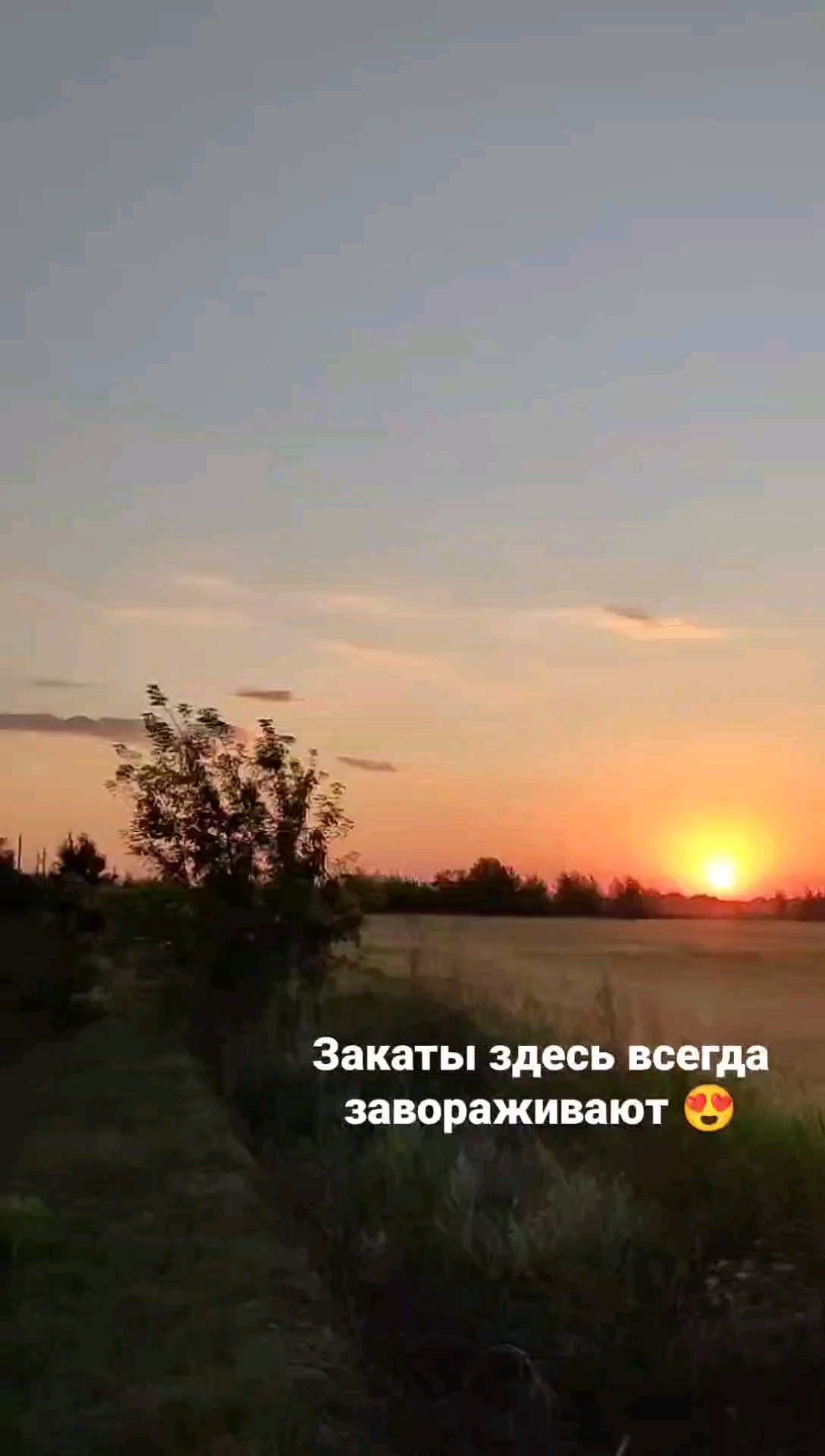 natali.vesnuwka in LOOKY. . null